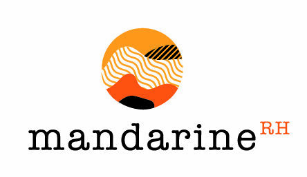 logo-mandarine-site-internet-wordpress-paris-vitrine-marchand-referencement-seo-sge