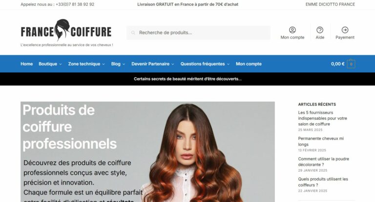 formation seo